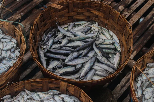 Vers Zoutwater Vis Bamboe Manden Gevangen Door Indonesische Traditionele Vissers — Stockfoto