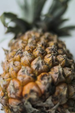 Arka bahçeden toplanan taze Endonezya yerel ananasının yakın görüntüsü.