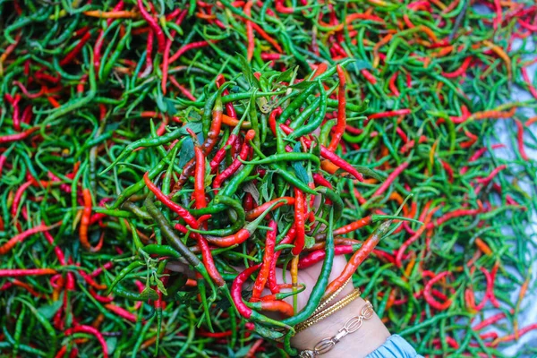 Ein Bündel Frischer Lockiger Roter Chilischoten Cabai Merah Keriting Die — Stockfoto
