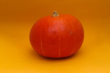 Turuncu arka planda izole edilmiş turuncu balkabağı