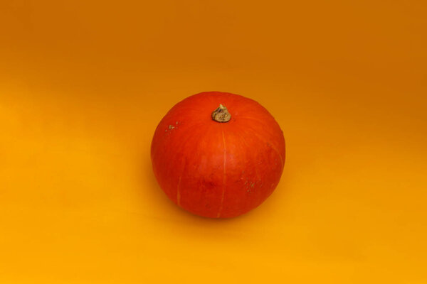 Orange pumpkin isolated on orange background