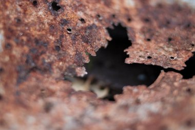 Paslı metalin delikleri ile odaklanmış soyut arka planı