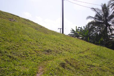 Tepedeki elektrik direği