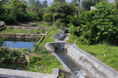 Batukarut Gölü Sukabumi, Batı Java, Endonezya 'da çiftçilerin sulama kanalları