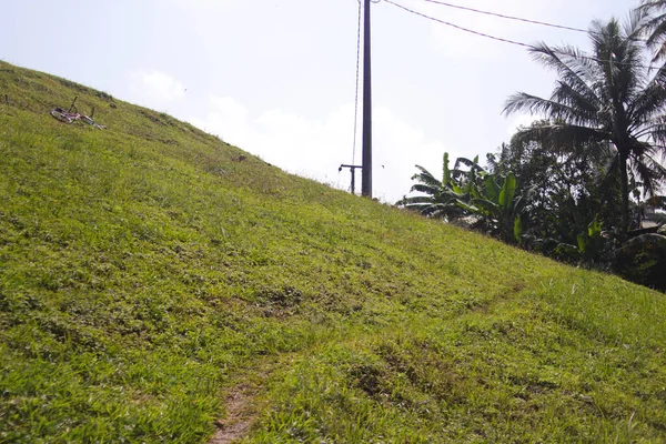 Tepedeki elektrik direği