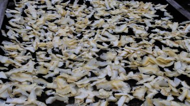 Cassava dilimleri güneşte kurutuluyor. Lantak, haşlanmış Cassava 'dan yapılan geleneksel Endonezya çiplerinden biri. Küçük parçalara ayrılıp güneşte kurutuluyor ve sonra kızartılıyor..