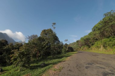 Yeşil orman ve açık mavi gökyüzü ile Papandayan Dağı 'na giden yolun manzarası.