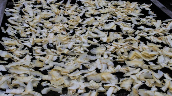 Cassava dilimleri güneşte kurutuluyor. Lantak, haşlanmış Cassava 'dan yapılan geleneksel Endonezya çiplerinden biri. Küçük parçalara ayrılıp güneşte kurutuluyor ve sonra kızartılıyor..