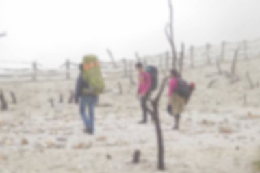 Bir grup Asyalı gencin soyutlanmış arka planı Papandayan Dağı 'ndaki ölü ormanda yürüyor. Papandayan karmaşık bir yanardağ.