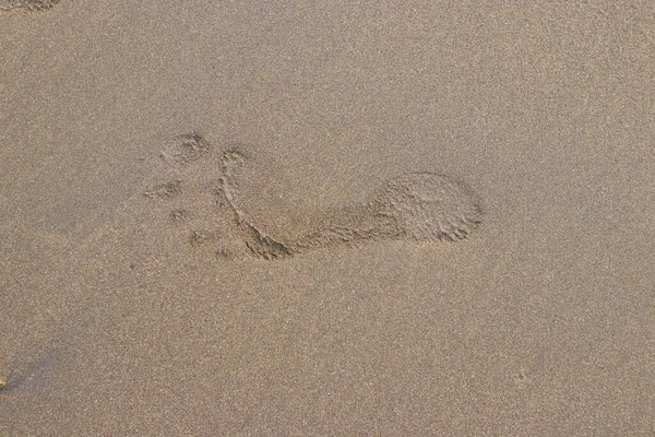 Vista Perto Pegada Única Nas Areias Praia Para Ilustrar Solidão — Fotografia de Stock