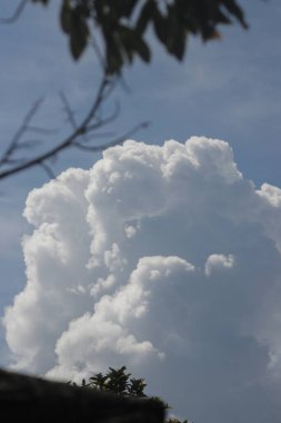 Kümülüs bulutları, açık mavi bir gökyüzü arkaplanına karşı ağaç dallarıyla ve gün ortasında. Bulutların tipleri resim depoluyor.