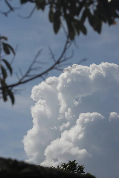 Nuvens Cúmulo Com Galhos Árvore Contra Fundo Céu Azul Claro — Fotografia de Stock