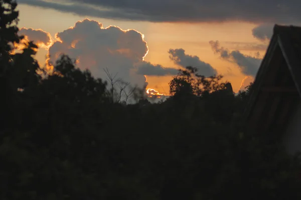 Nuvens Cúmulos Com Ramos Árvores Silhueta Contra Fundo Céu Laranja — Fotografia de Stock