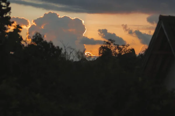 Cumulus Moln Med Träd Grenar Siluett Mot Orange Himmel Bakgrund — Stockfoto