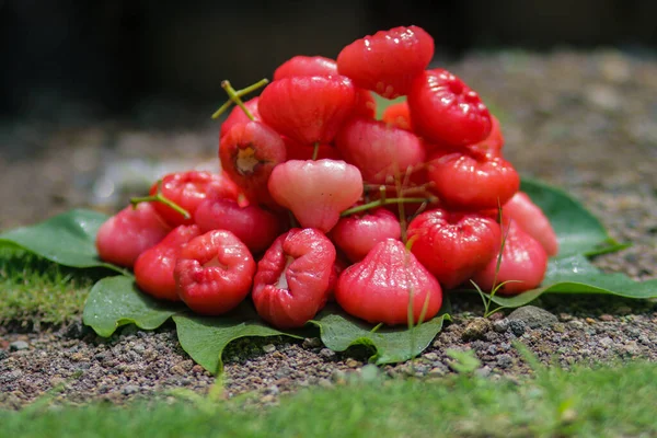 Gruppo Frutti Mela Rossa Matura Freschi Sono Pronti Vendita Conosciuto — Foto Stock