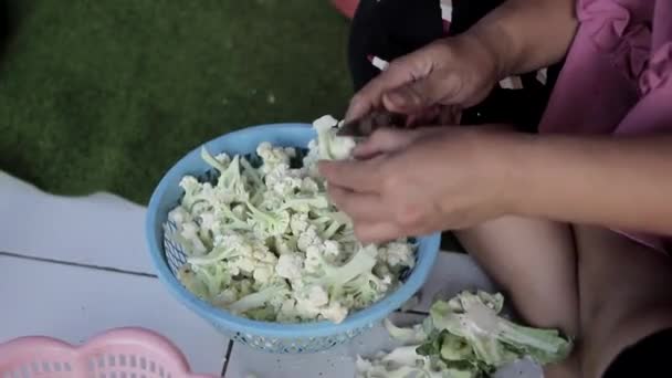 Asijská Hospodyňka Krájí Květák Modrém Košíku Kontejner Bílou Podlahu Vařit — Stock video