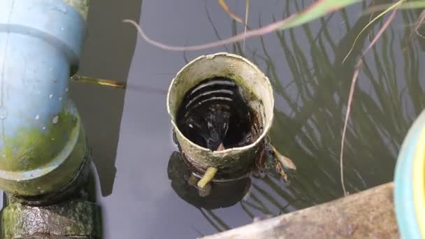 Špinavě Bílá Kulatá Pvc Trubka Používaná Jako Odvodňovací Systém Rybníku — Stock video