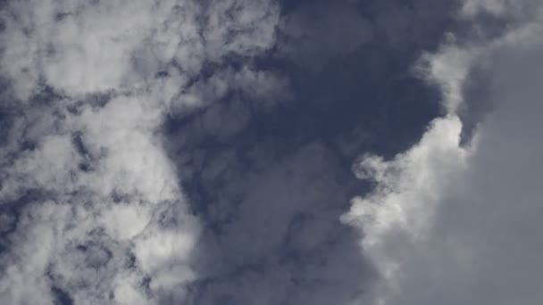 Timelapse Nuvens Cumulus Com Fundo Céu Azul Claro Meio Dia — Vídeo de Stock