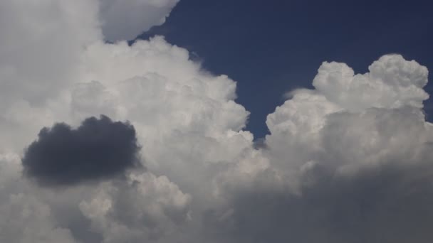 Timelapse Nuvens Cumulus Com Fundo Céu Azul Claro Meio Dia — Vídeo de Stock