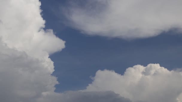 Timelapse Cumulus Clouds Clear Blue Sky Background Midday Tipuri Nori — Videoclip de stoc