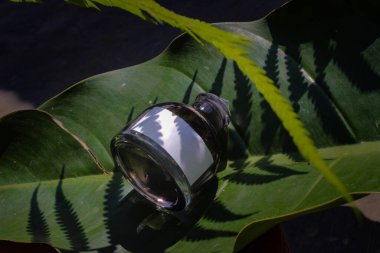 Beyaz etiketli ve yeşil yapraklı 50 ml 'lik parfüm şişesi. Parfüm şişesi fotoğrafı.