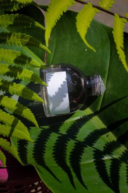 Beyaz etiketli ve yeşil yapraklı 50 ml 'lik parfüm şişesi. Parfüm şişesi fotoğrafı.