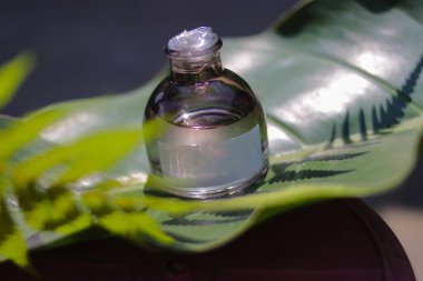 Beyaz etiketli ve yeşil yapraklı 50 ml 'lik parfüm şişesi. Parfüm şişesi fotoğrafı.