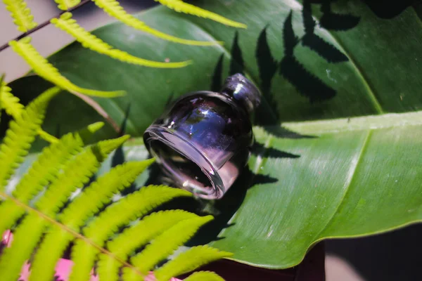 Frasco Perfume Con Hermosas Capas Sombra Hojas Verdes Sobre Fondo —  Fotos de Stock