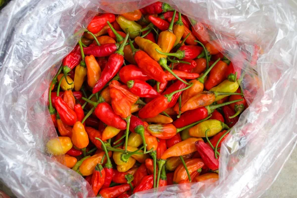 Top Eller Flat Låg Utsikt Över Ett Gäng Datil Paprika — Stockfoto