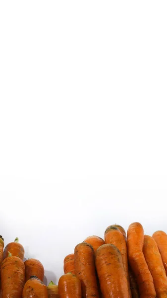 Ramo Zanahorias Frescas Con Espacio Copia Aislado Sobre Fondo Blanco —  Fotos de Stock