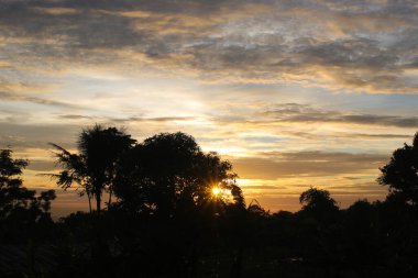 Kırsal bir bölgede ağaç siluetiyle güzel dramatik bir öğleden sonra gökyüzü. Endonezya 'da bir köyde dramatik gün batımı manzarası