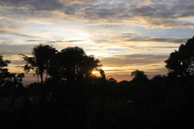 Kırsal bir bölgede ağaç siluetiyle güzel dramatik bir öğleden sonra gökyüzü. Endonezya 'da bir köyde dramatik gün batımı manzarası