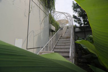 Kırsal ve yeşil bina kavramlı merdiven. Bir alışveriş merkezinde asmalar, ağaçlar ve bitkilerle dolu bir çatıya açılan yeşil koridor..