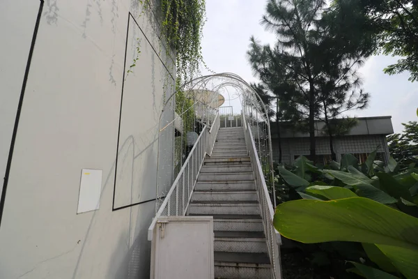 Escalier Avec Concept Bâtiment Rustique Vert Couloir Vert Menant Toit — Photo