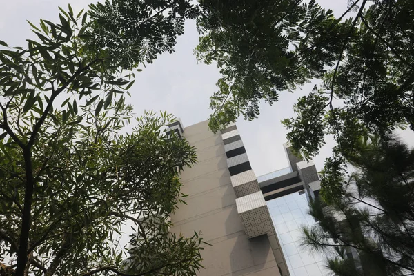 Vista Baixo Ângulo Edifício Moderno Minimalista Genérico Indonésia — Fotografia de Stock