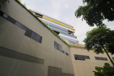 Park manzarasından genel minimalist modern binanın düşük açılı görüntüsü