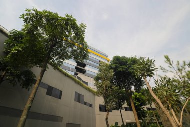 Park manzarasından genel minimalist modern binanın düşük açılı görüntüsü