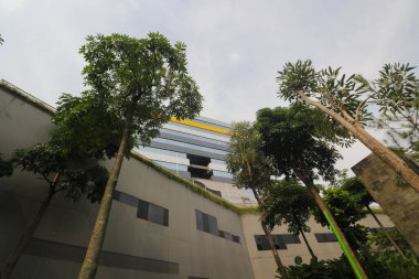 Park manzarasından genel minimalist modern binanın düşük açılı görüntüsü