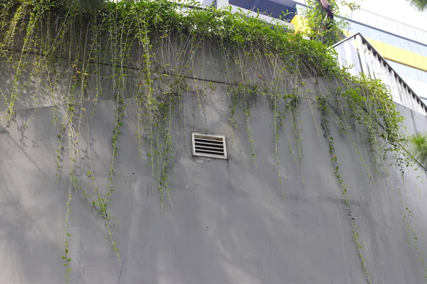 Volets Treillis Couvercle Ventilation Sur Mur Dans Bâtiment Centre Commercial — Photo