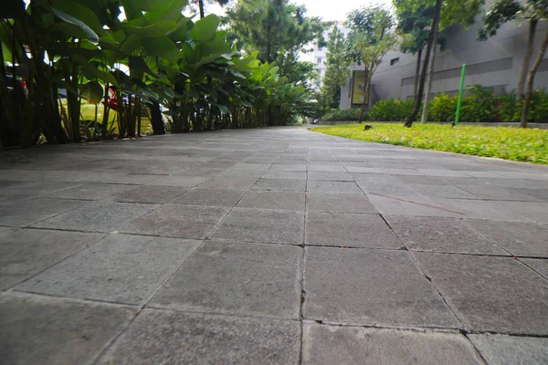 Caminho Com Tijolos Pavimentação Concreto Árvores Verdes Shopping Center Park — Fotografia de Stock