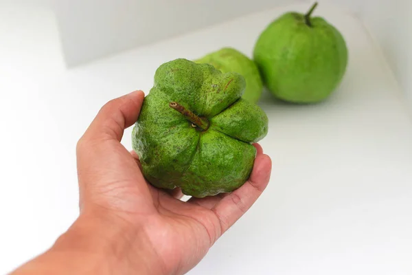 Mano Sosteniendo Guayaba Cristalina Fresca Madura Psidium Guajava Con Fondo — Foto de Stock