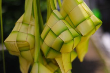Ketupat ya da Kupat 'ın yakın plan görüntüsü bulanık. Ketupat, genellikle Hari Raya ya da Kurban Bayramı 'nda servis edilen ikonik pirinç keki. Ketupat kesesi örülmüş genç hindistan cevizi yapraklarından yapılır.