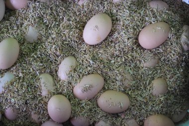 Pirinç kabuğundaki bir grup kahverengi yumurtanın en üst görüntüsü.