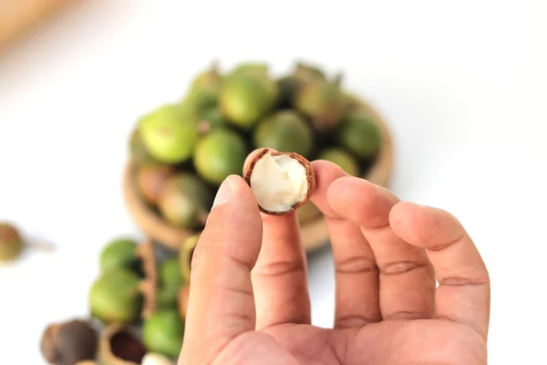 Tampilan Atas Tangan Memegang Kacang Macadamia Dengan Kabur Sekelompok Besar — Stok Foto