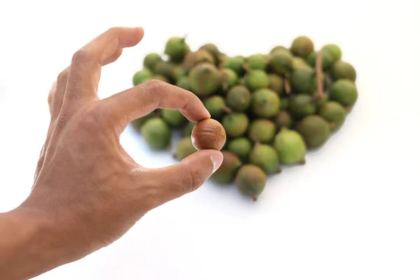 Tangan Memegang Kacang Macadamia Terisolasi Pada Latar Belakang Putih Kacang — Stok Foto