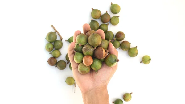 Tangan Memegang Segenggam Kacang Macadamia Mentah Dengan Ruang Fotokopi Terisolasi — Stok Foto