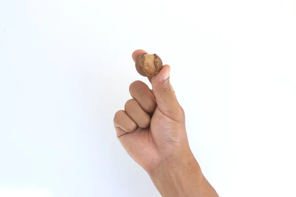Hand Holding Macadamia Nuts Copy Space Isolated White Background Macadamia — Stok Foto