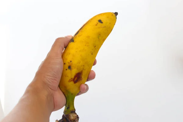 Main Tenant Une Grosse Banane Sur Fond Blanc Fruits Minimaux — Photo