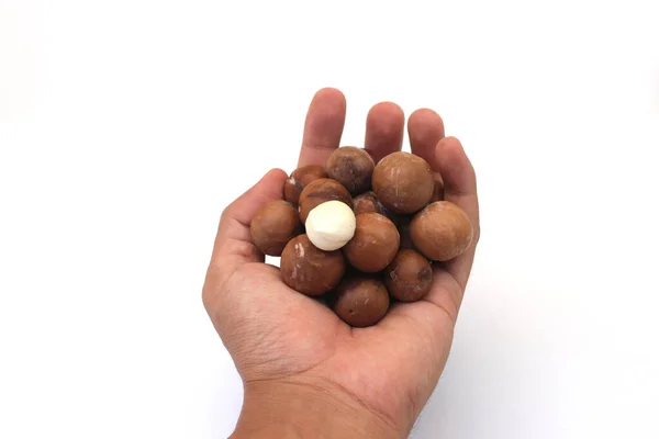 Der Hand Eine Handvoll Macadamia Nüsse Isoliert Auf Weißem Hintergrund — Stockfoto