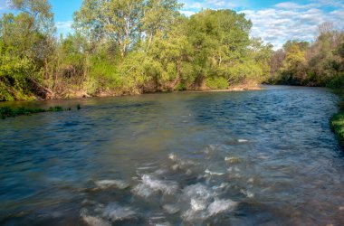Harika bir bahar sabahı. Nisava nehrinin manzarası. Nis 'ten çok uzak değil..
